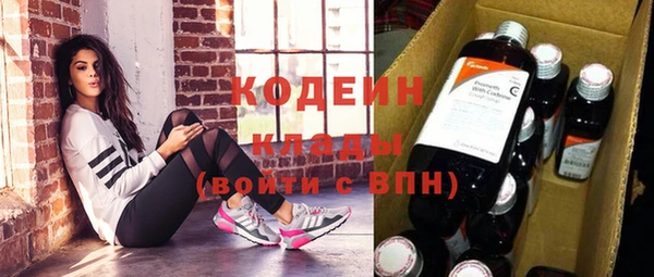 спиды Няндома