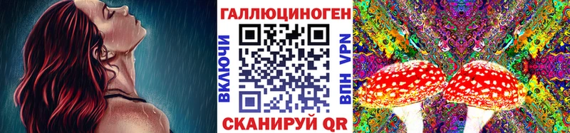 Псилоцибиновые грибы мицелий  купить наркотик  сайты даркнета какой сайт  Волчанск 